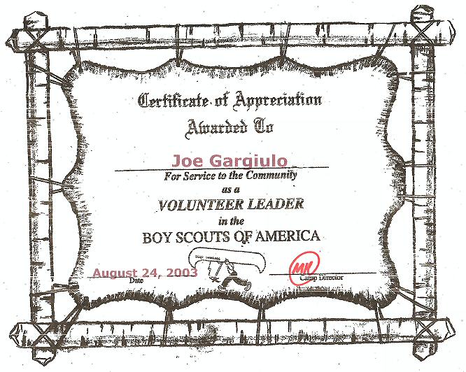 BSA volunteer award winner certificate