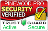 Pinewood Pro Security Seal