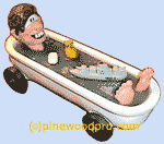 pinewood derby image bathtub car