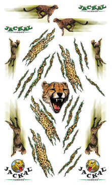 derby car decals image