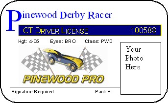 Actual license may look different