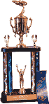 pinewood derby car trophy picture