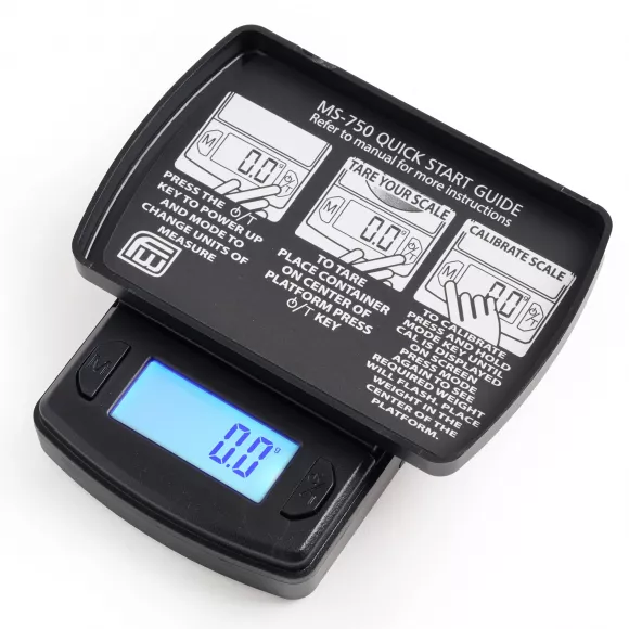 Pinewood Derby Portable Mini Scale